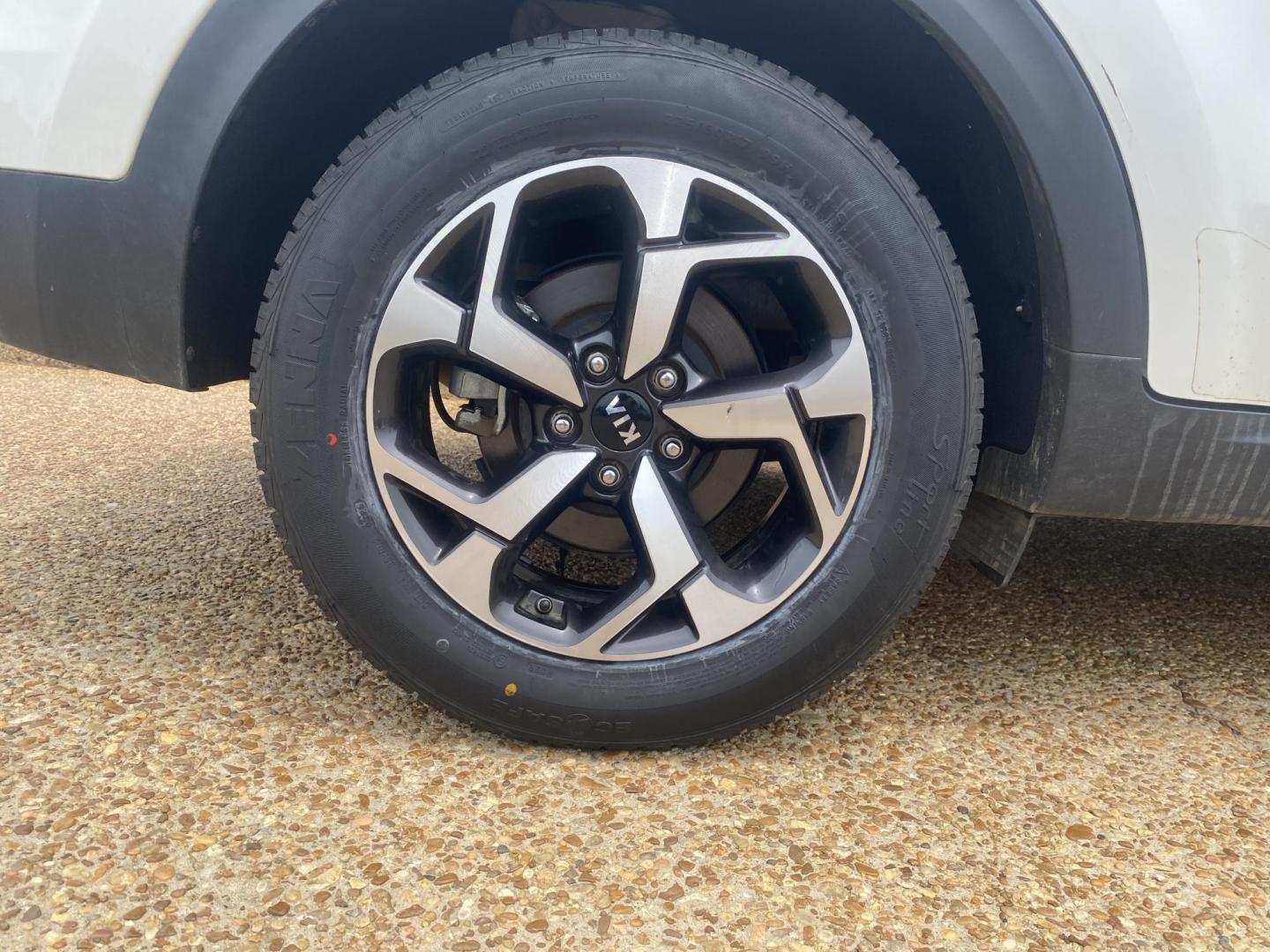 2021 WHITE KIA SPORTAGE LX (KNDPM3AC5M7) , located at 922 W. Beacon St., Philadelphia, MS, 39350, (601) 650-3675, 32.770447, -89.127151 - Photo#7