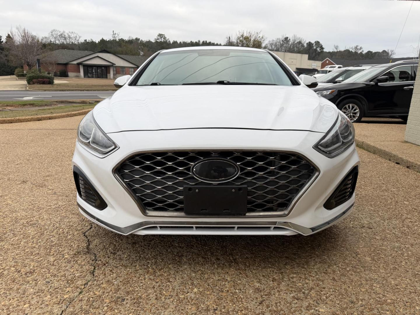 2019 WHITE HYUNDAI SONATA SEL (5NPE34AF1KH) , located at 922 W. Beacon St., Philadelphia, MS, 39350, (601) 650-3675, 32.770447, -89.127151 - Photo#1