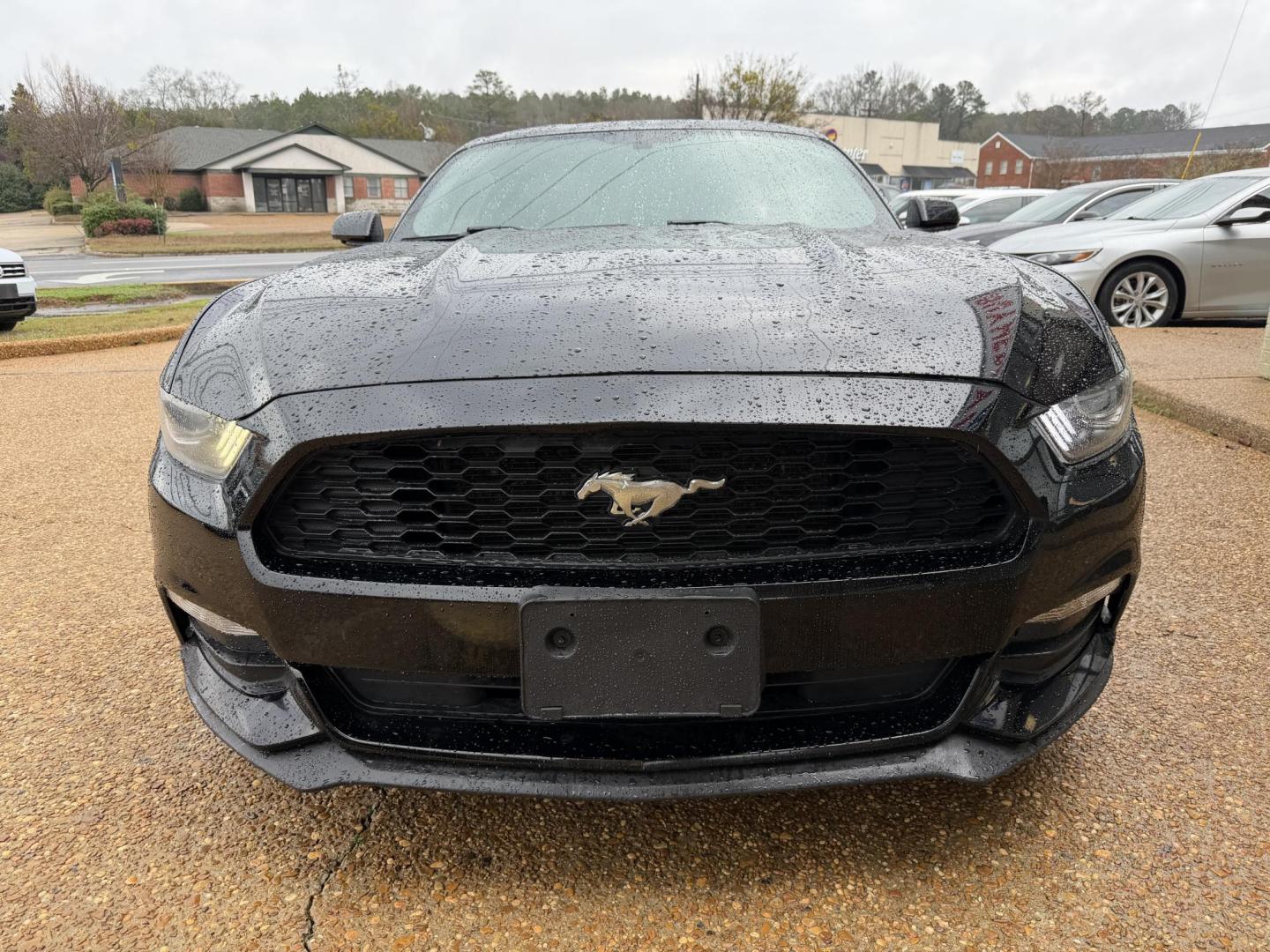 2017 BLACK FORD MUSTANG (1FA6P8AMXH5) , located at 922 W. Beacon St., Philadelphia, MS, 39350, (601) 650-3675, 32.770447, -89.127151 - Photo#1