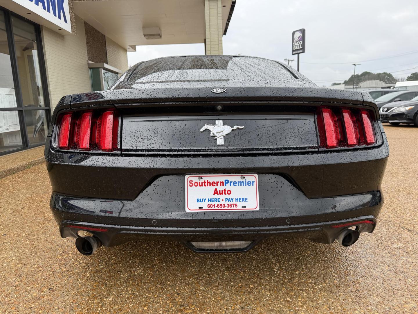 2017 BLACK FORD MUSTANG (1FA6P8AMXH5) , located at 922 W. Beacon St., Philadelphia, MS, 39350, (601) 650-3675, 32.770447, -89.127151 - Photo#4