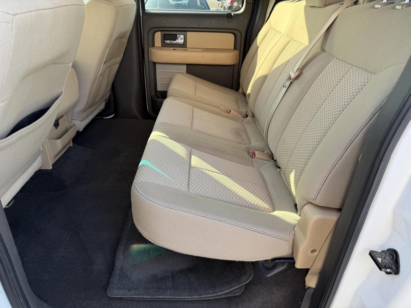 2013 WHITE FORD F-150 XLT (1FTEW1CM8DK) , located at 922 W. Beacon St., Philadelphia, MS, 39350, (601) 650-3675, 32.770447, -89.127151 - Photo#13