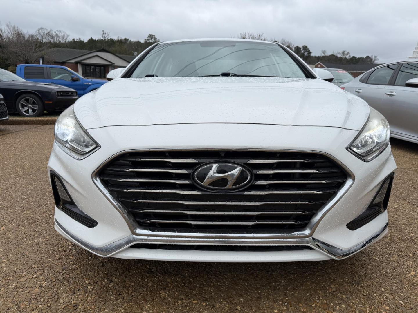 2019 WHITE HYUNDAI SONATA SE (5NPE24AF0KH) , located at 922 W. Beacon St., Philadelphia, MS, 39350, (601) 650-3675, 32.770447, -89.127151 - Photo#1
