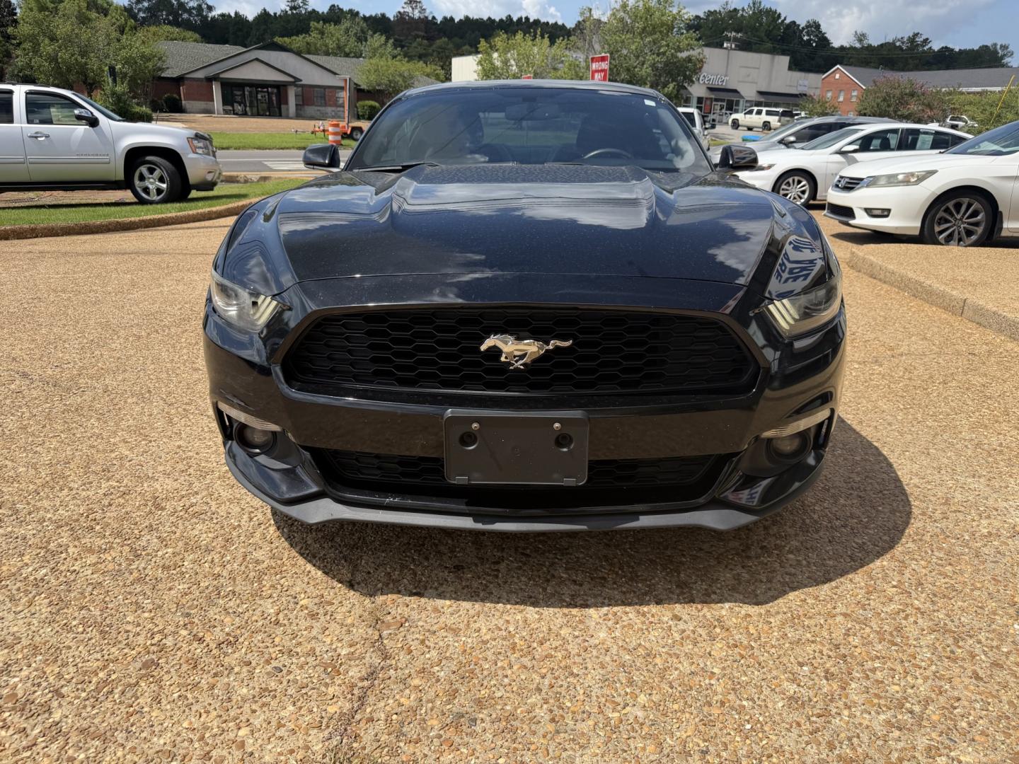 2016 BLACK FORD MUSTANG ECOBOOST (1FA6P8THXG5) , located at 922 W. Beacon St., Philadelphia, MS, 39350, (601) 650-3675, 32.770447, -89.127151- Photo#1
