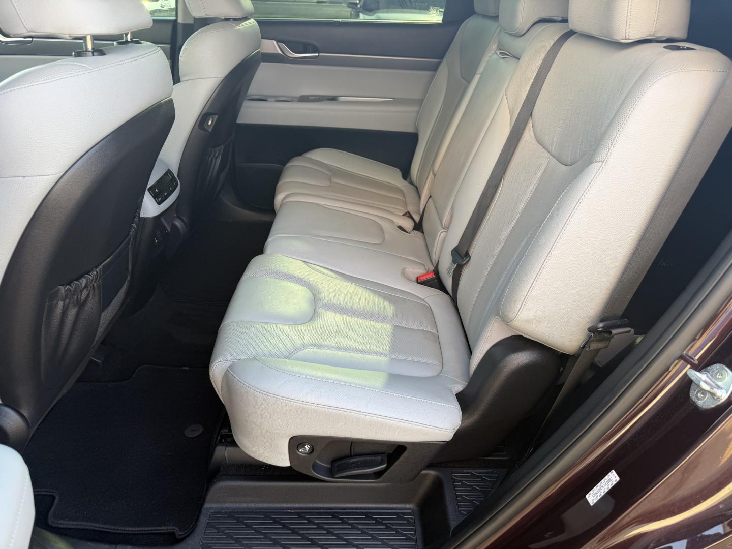 2020 BURGANDY HYUNDAI PALISADE SEL (KM8R44HE9LU) , located at 922 W. Beacon St., Philadelphia, MS, 39350, (601) 650-3675, 32.770447, -89.127151- Photo#13