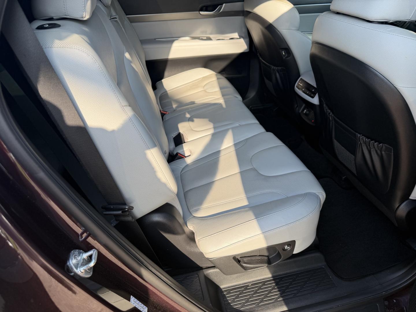 2020 BURGANDY HYUNDAI PALISADE SEL (KM8R44HE9LU) , located at 922 W. Beacon St., Philadelphia, MS, 39350, (601) 650-3675, 32.770447, -89.127151- Photo#14