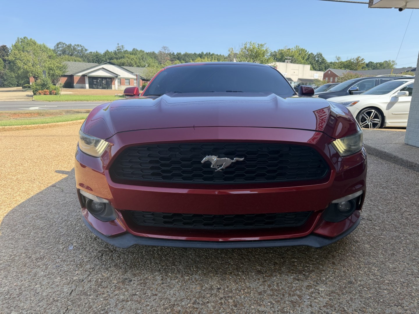 2016 RED FORD MUSTANG ECOBOOST (1FA6P8TH2G5) , located at 922 W. Beacon St., Philadelphia, MS, 39350, (601) 650-3675, 32.770447, -89.127151- Photo#1