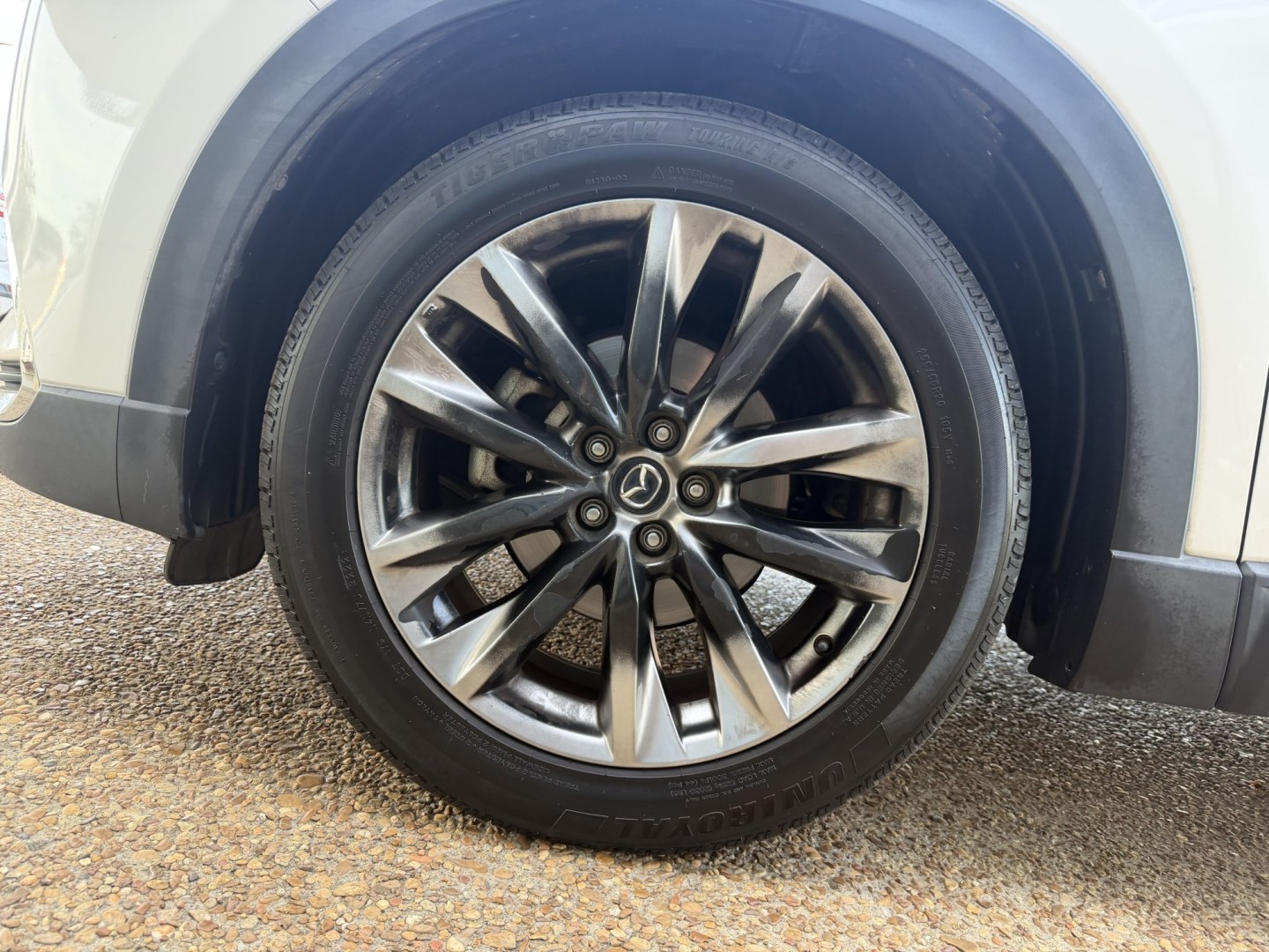 2016 WHITE MAZDA CX-9 GRAND TOURING (JM3TCADY6G0) , located at 922 W. Beacon St., Philadelphia, MS, 39350, (601) 650-3675, 32.770447, -89.127151- Photo#7